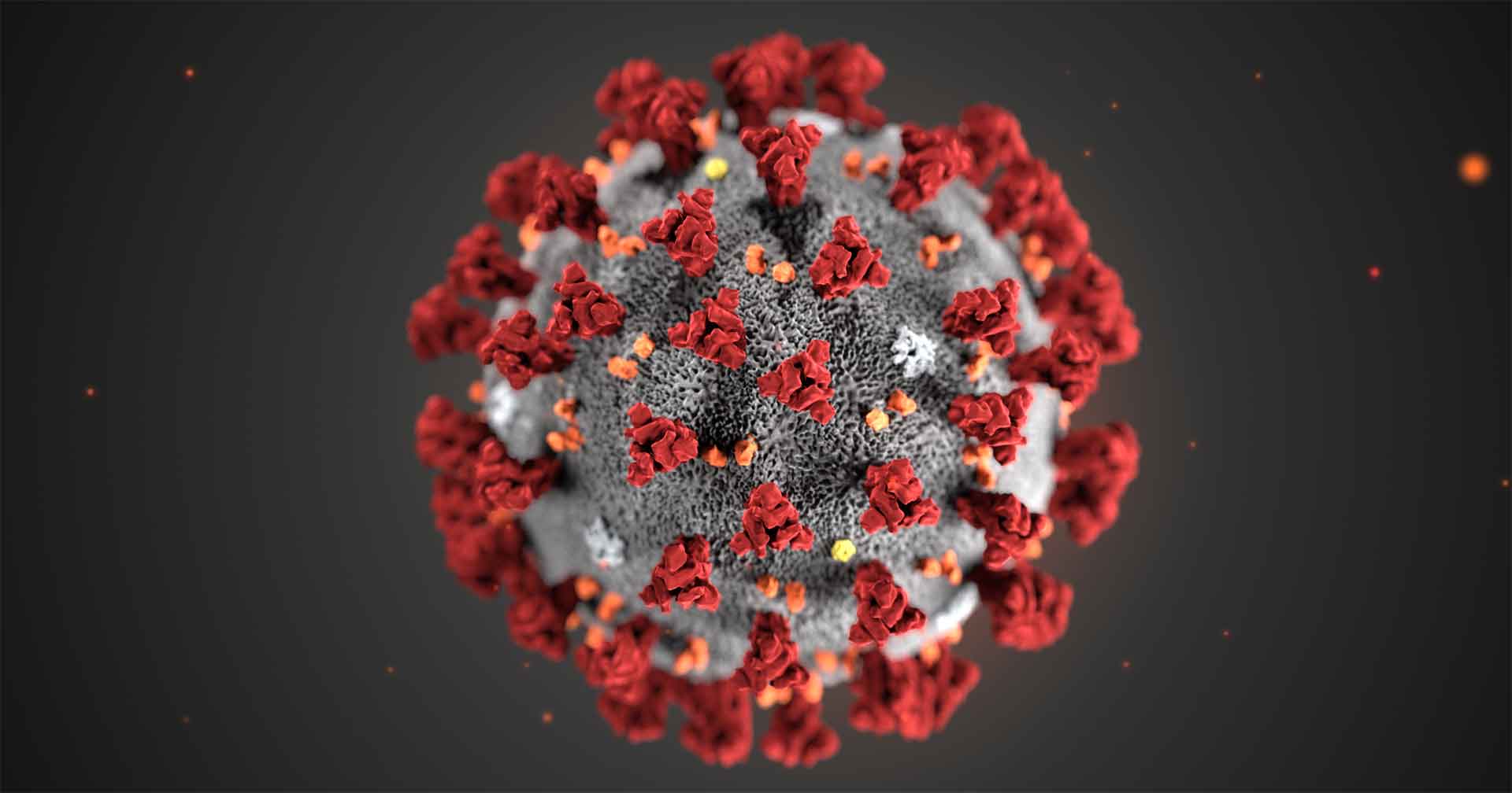 Ibiza Confirms Its First Case Of Coronavirus