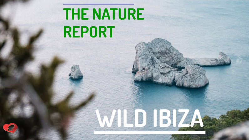 Wild Ibiza – March Nature Report.