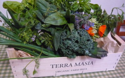 Stand and Deliver – A Feelgood Vegan Summer