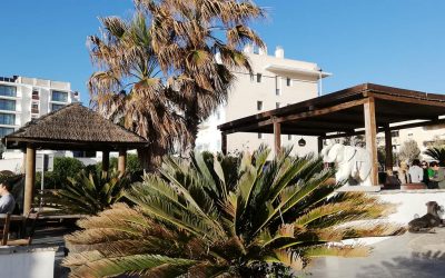 New British Owners Rumoured For Golden Buddha Ibiza