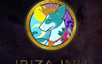 Ibiza Crypto Report December 2021