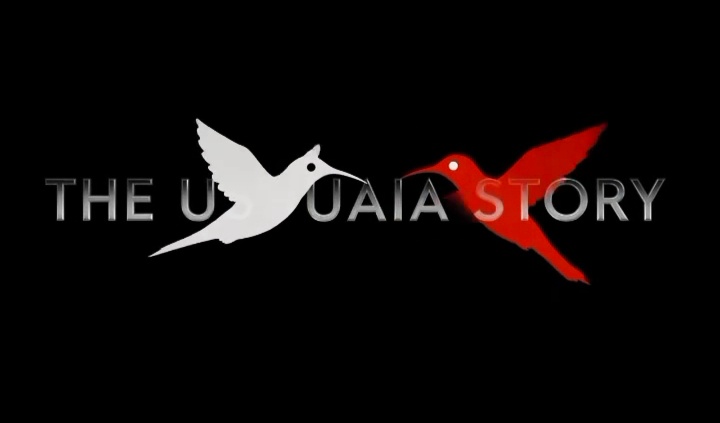 theushuaiaibizastory